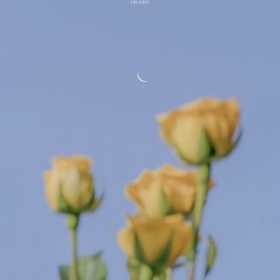 蜀山仙侠传九游版下载