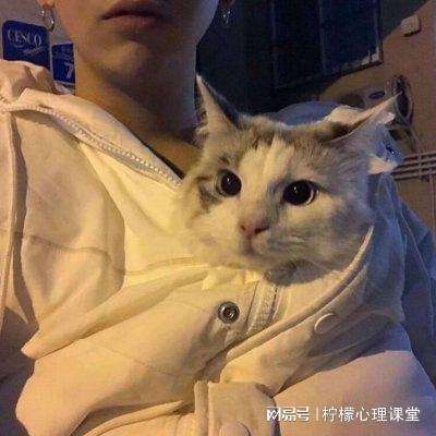 时尚幻想手游台版下载