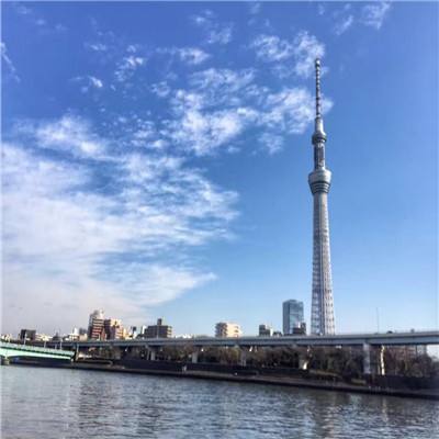 口袋梦三国app下载官方版