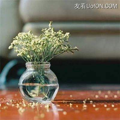 江湖飞仙手游下载